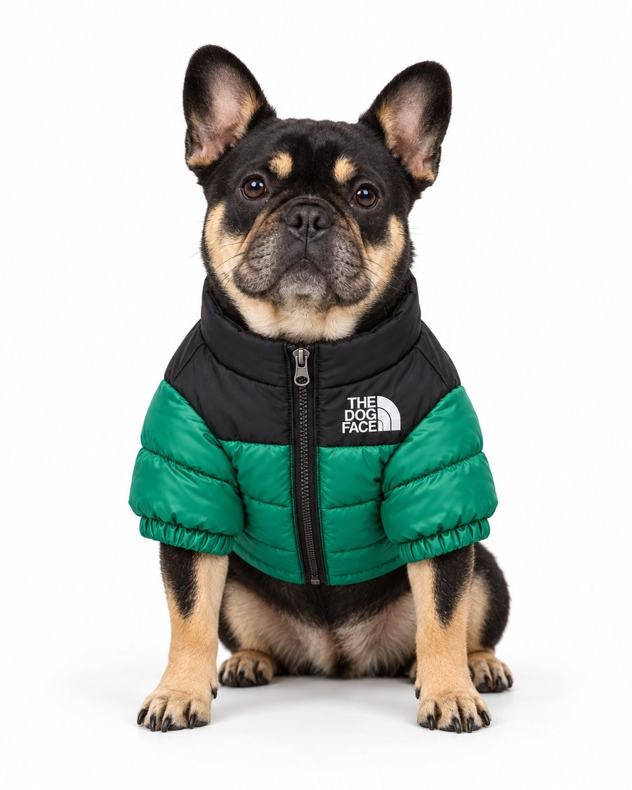 Dog Puffer Jacket