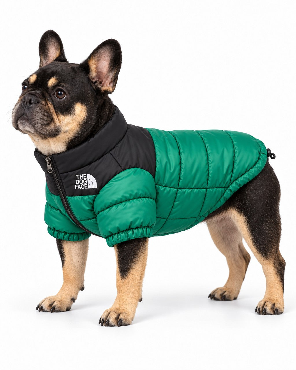 Dog Puffer Jacket in green, worn by a French bulldog, standing, side view