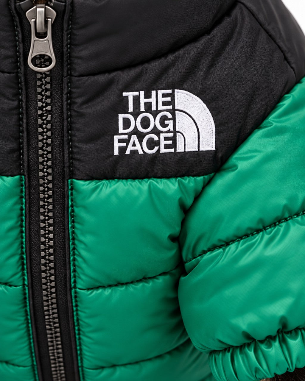 Dog Puffer Jacket in green, embroidered logo detail