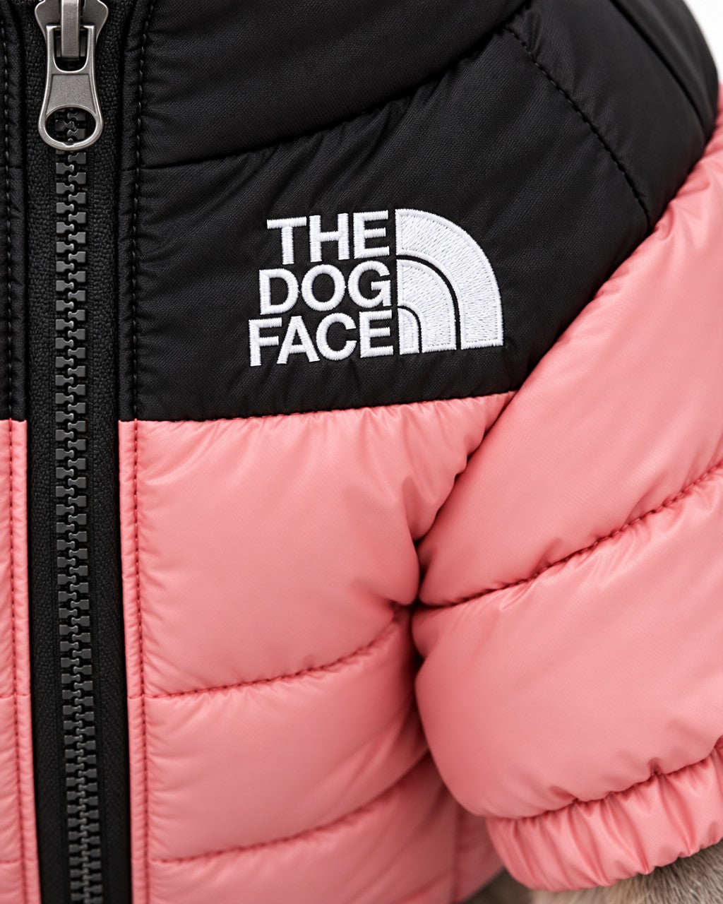 Dog Puffer Jacket in pink, embroidered logo detail