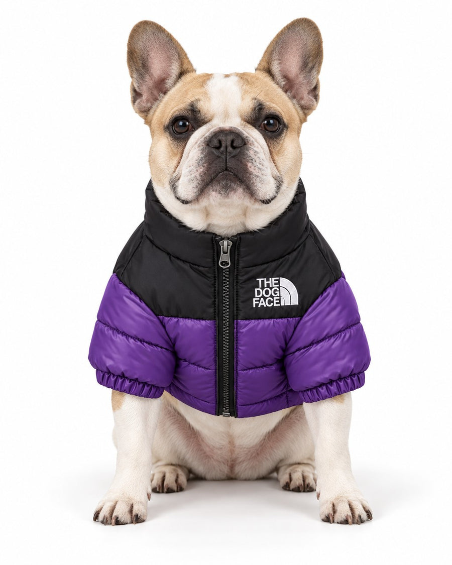 Dog Puffer Jacket