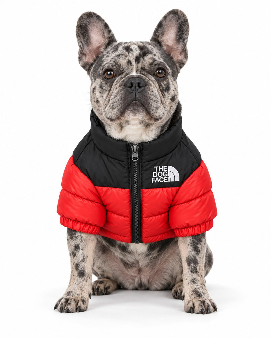 Dog Puffer Jacket