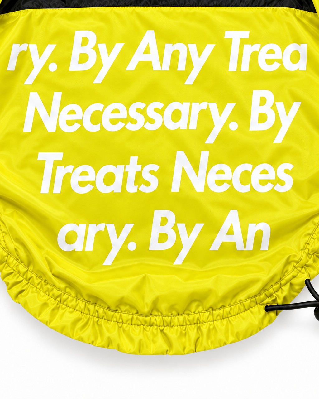 Dog Waterproof Jacket in yellow, "By Any Treats Necessary" print detail on the back