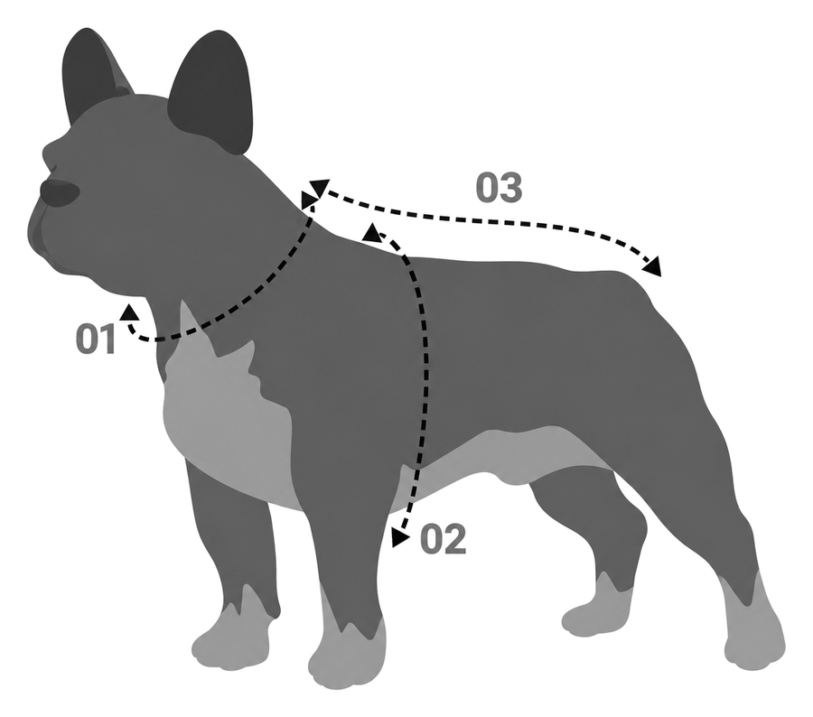 How to measure your dog: 01 neck, 02 chest, 03 back length